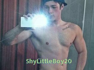 ShyLittleBoy20