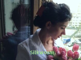 Silkworm