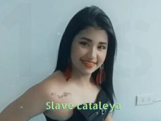 Slave_cataleya