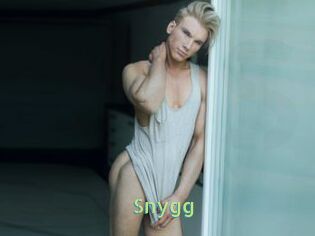 Snygg