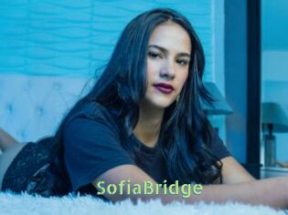 SofiaBridge