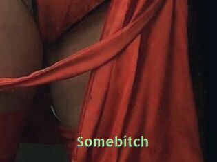 Somebitch