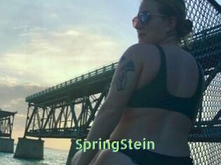 SpringStein