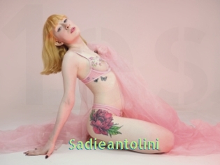 Sadieantolini