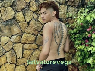 Salvatorevega