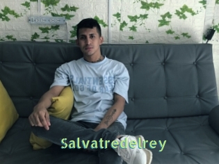Salvatredelrey