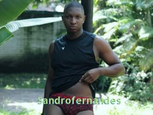 Sandrofernandes