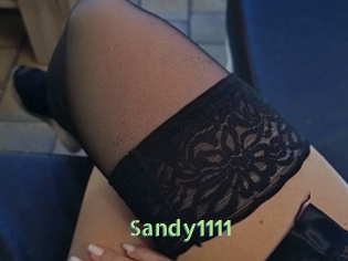 Sandy1111