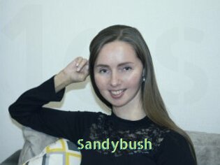 Sandybush