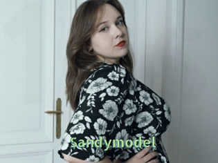 Sandymodel