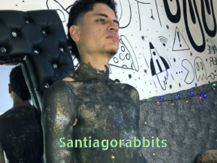 Santiagorabbits