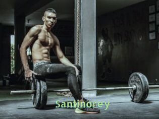 Santinorey