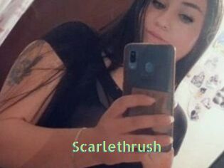 Scarlethrush