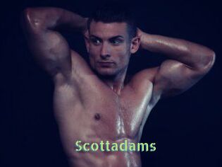 Scottadams