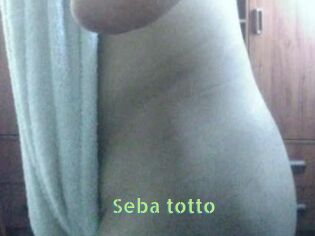 Seba_totto