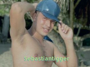 Sebastiantigger