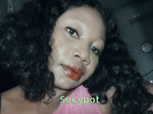 Secypot