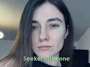 Seekeroftheone