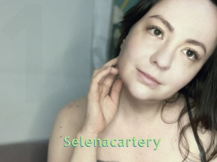 Selenacartery