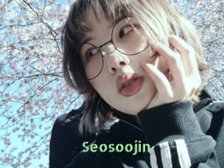Seosoojin