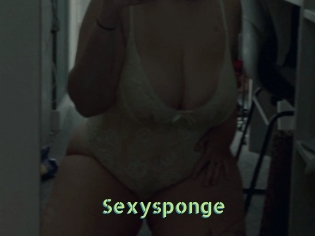 Sexysponge