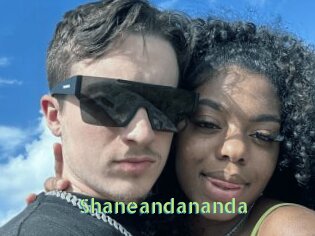 Shaneandananda