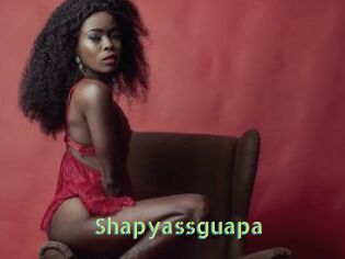 Shapyassguapa