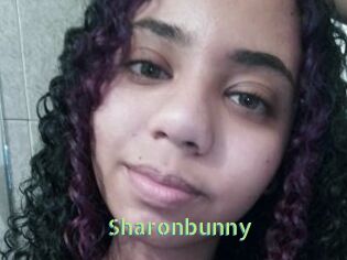 Sharonbunny