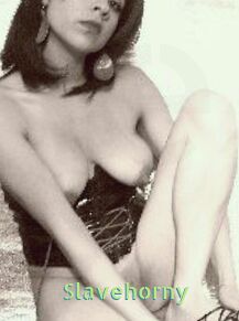 Slavehorny