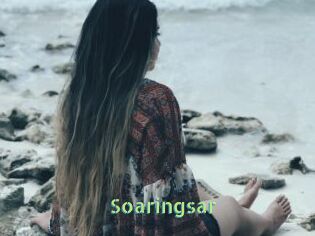 Soaringsar