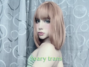 Soary_trans
