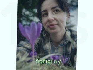 Sofi_gray