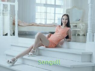 Songull