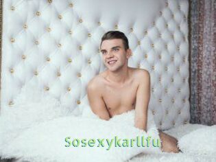 Sosexykarllfu