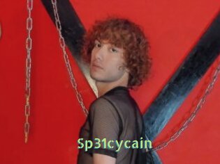 Sp31cycain