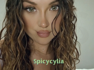 Spicycylia