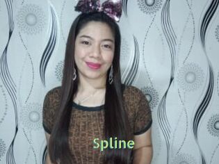 Spline