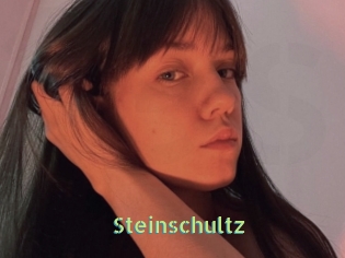 Steinschultz