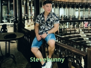 stevebunny Une Etudiante Sexy