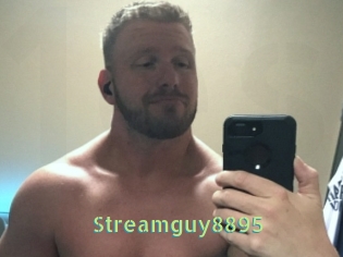 Streamguy8895