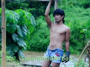 SuperbHORNYboy