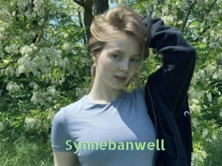 Synnebanwell
