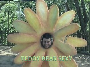 TEDDY_BEAR_SEXY