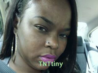 T_N_Ttiny