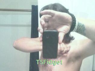 TSFidget