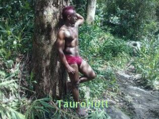 Tauro_Hott