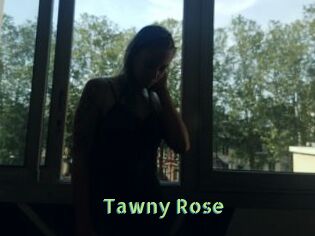 Tawny_Rose