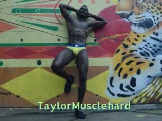 TaylorMusclehard