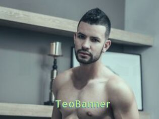 TeoBanner