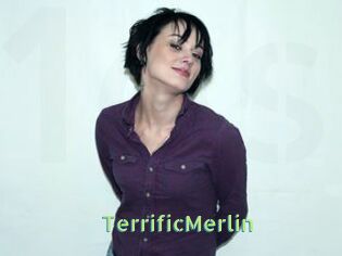 TerrificMerlin